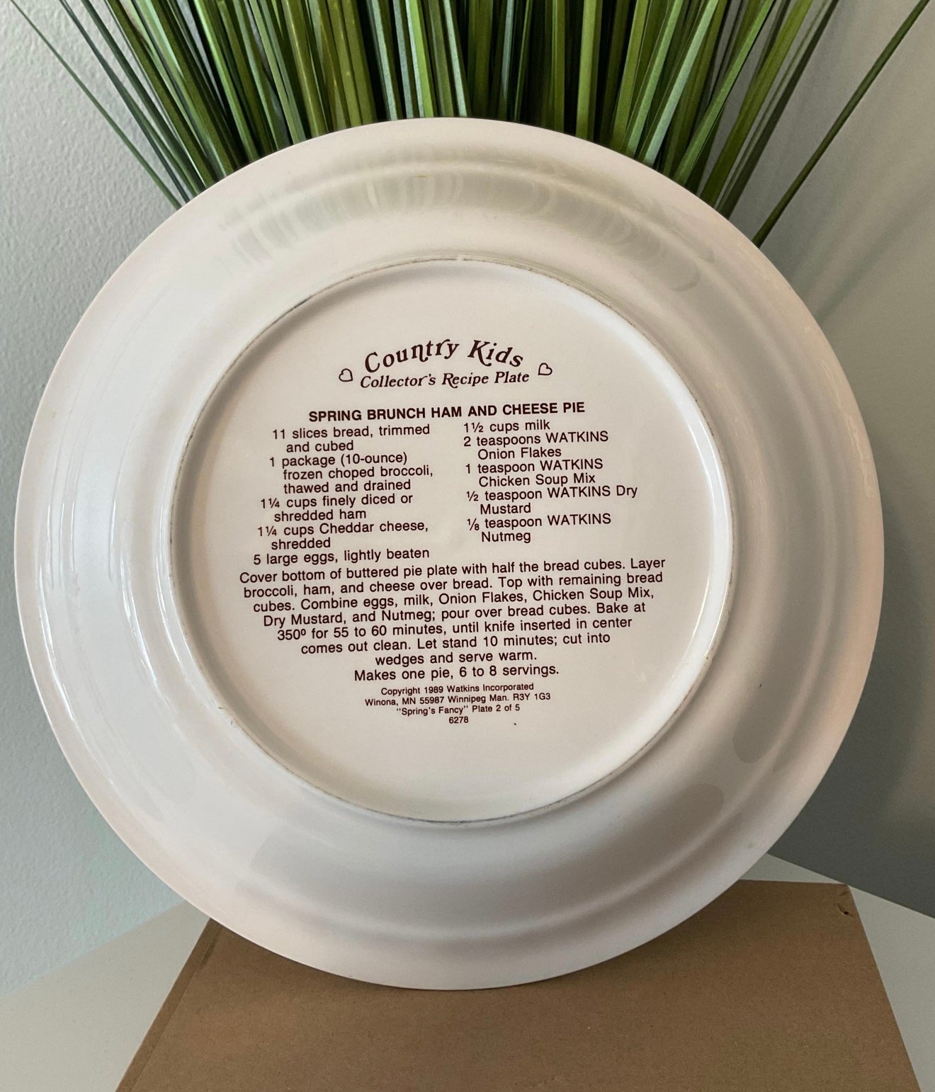 Vintage Watkins Country Kids Pie Plate with Recipe