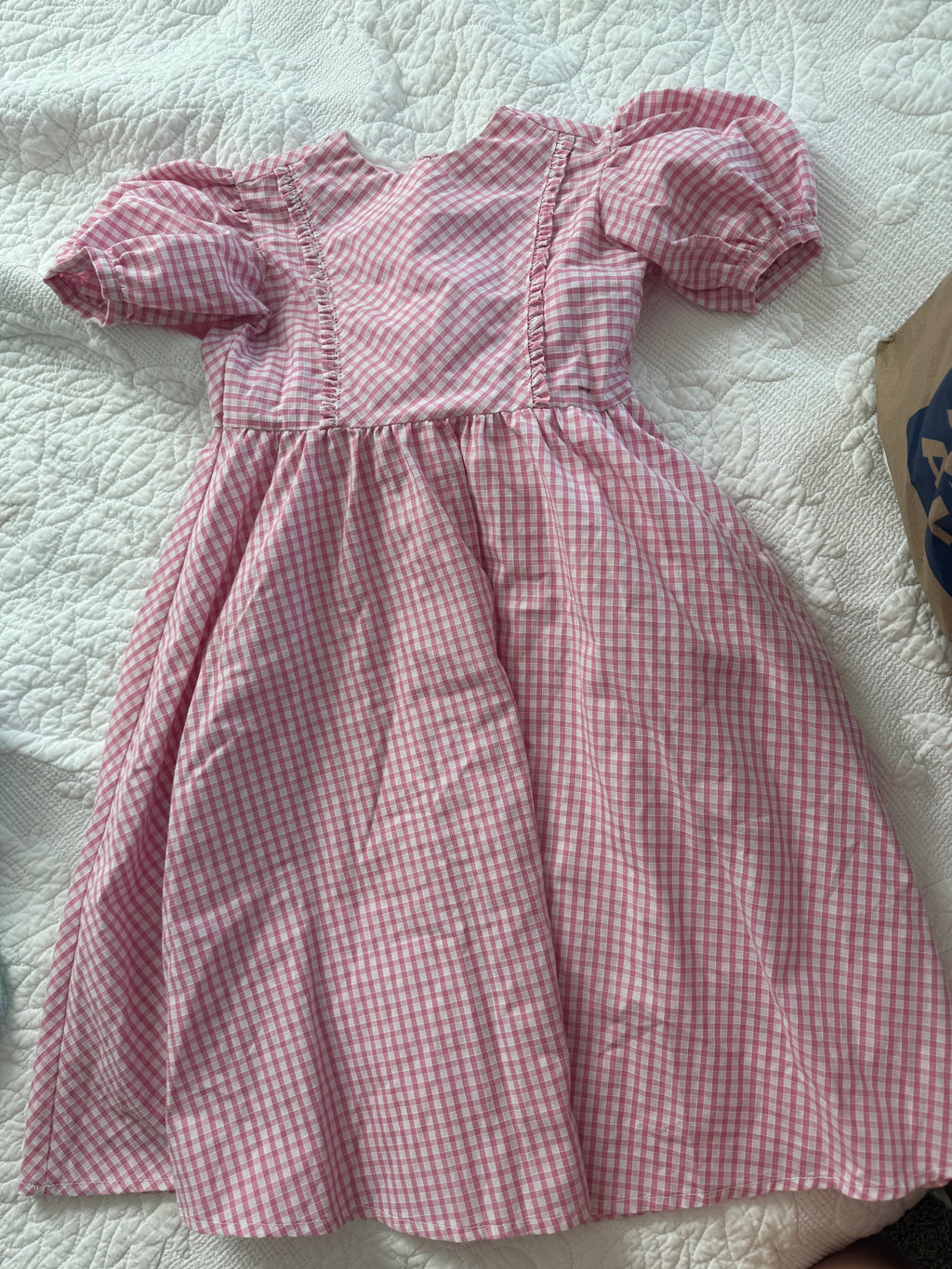 Vintage Pink Gingham Cap Puffed Sleeve Dress