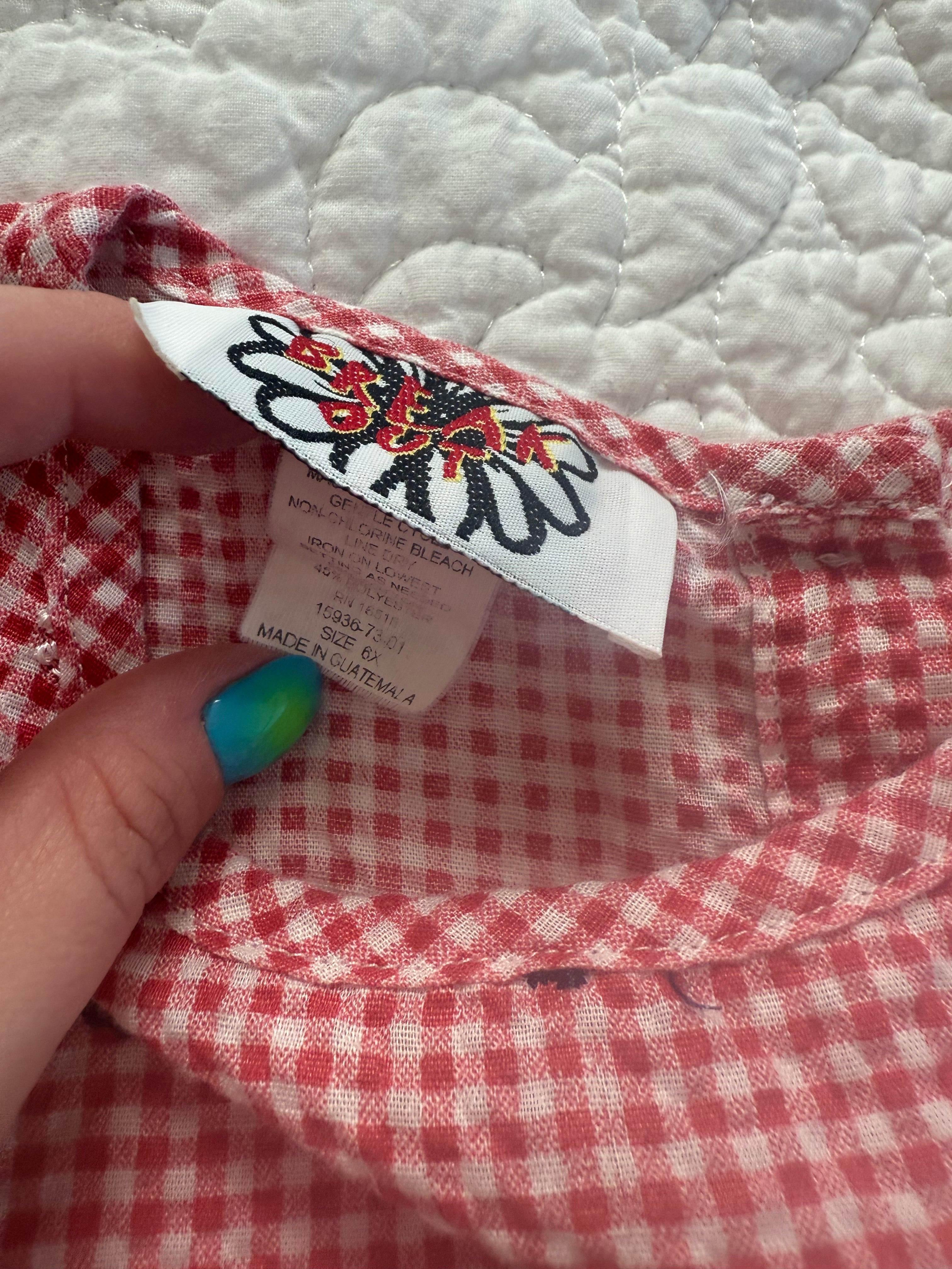 Red Ginghan Blue Floral Embroidered Dress