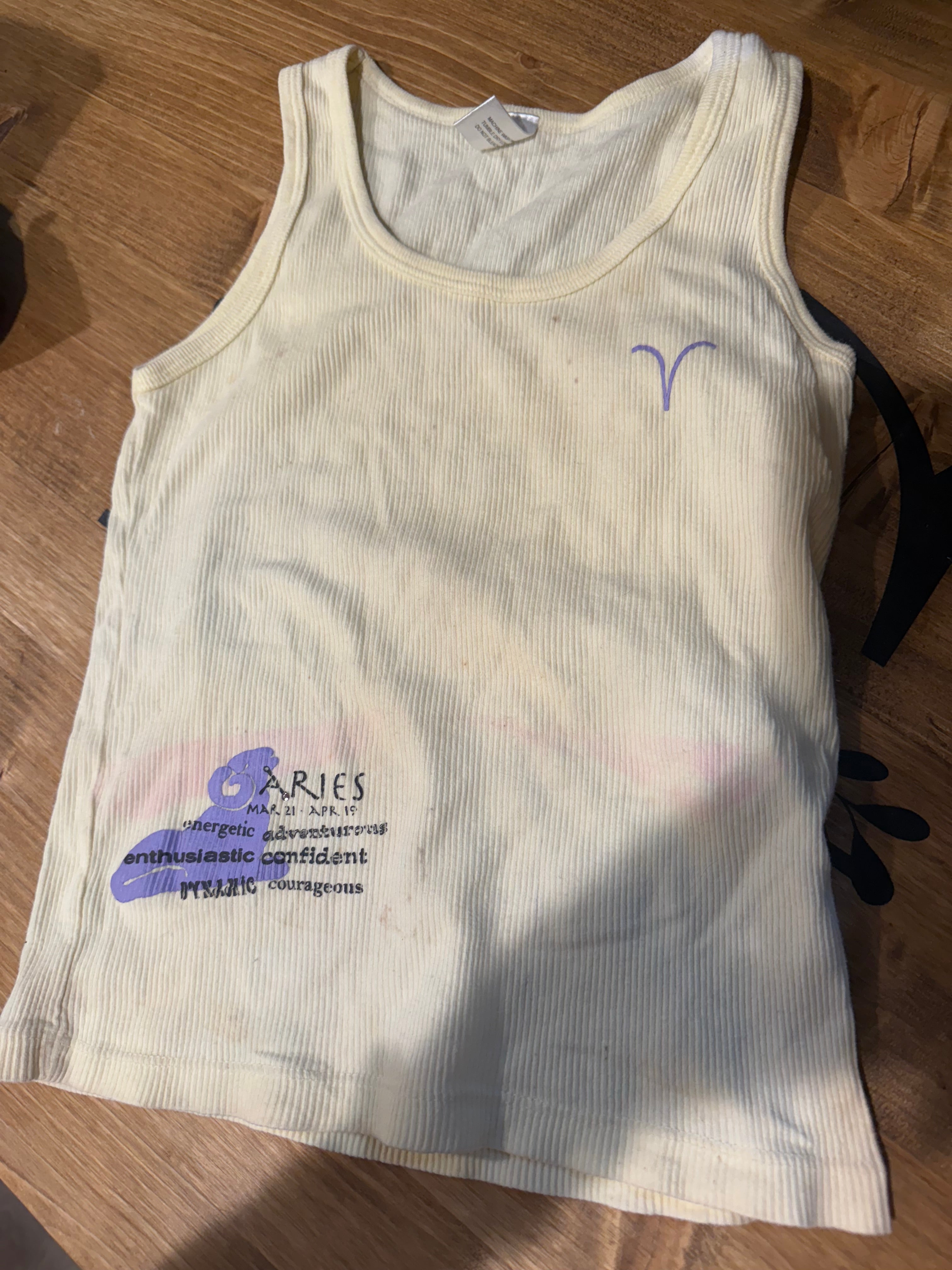 Y2K Horoscope Aries Tank