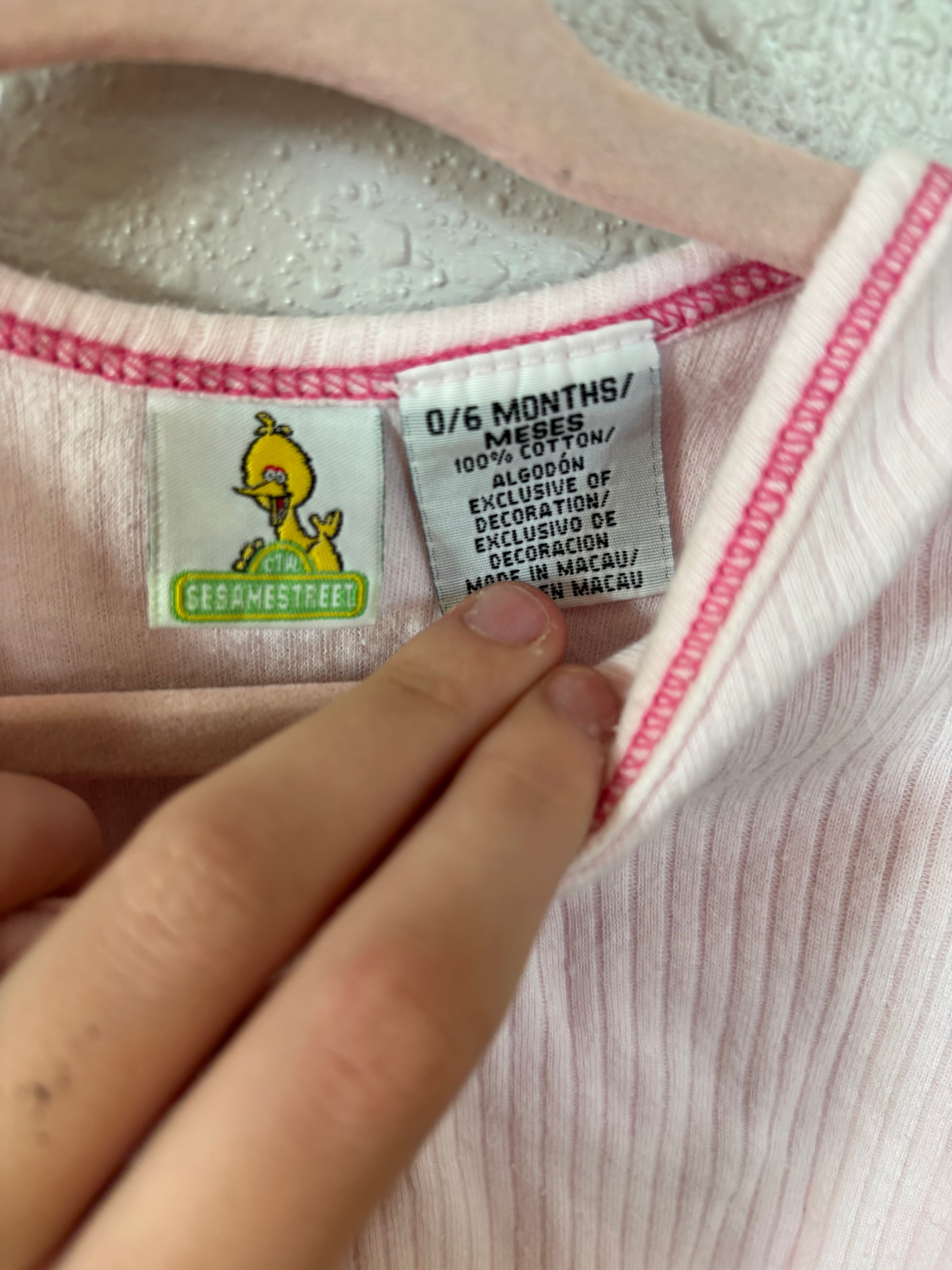 Sesame Street Big Bird Pink Tee