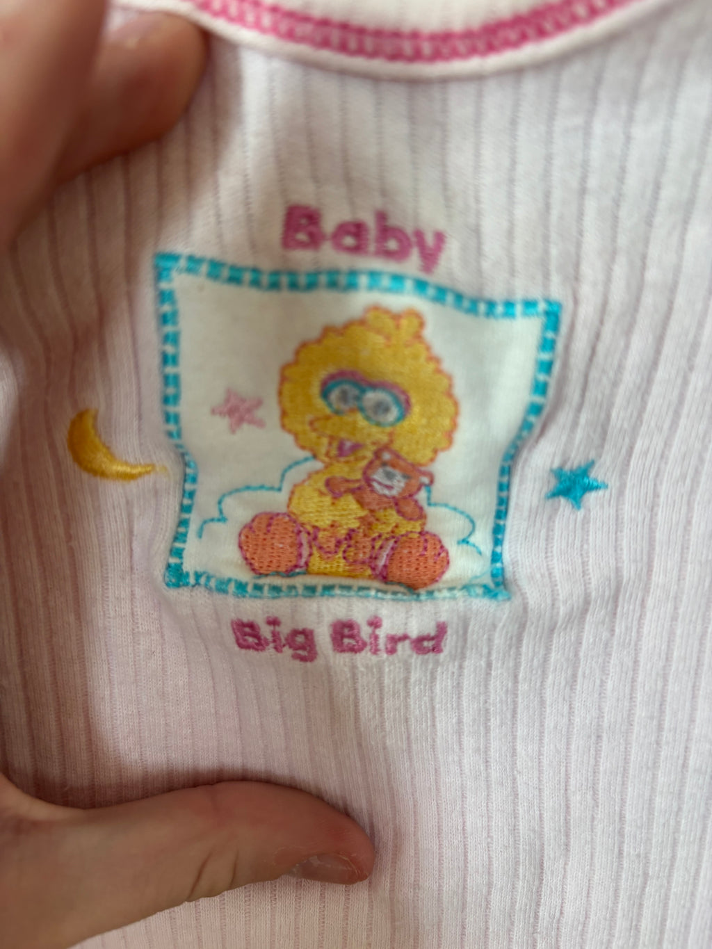 Sesame Street Big Bird Pink Tee